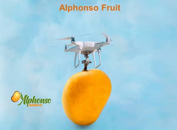Alphonso Fruit