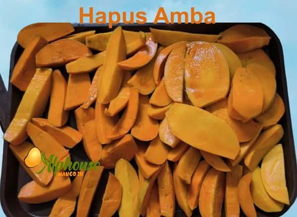 Authentic Hapus Amba: Direct from Ratnagiri & Devgad - AlphonsoMango.in