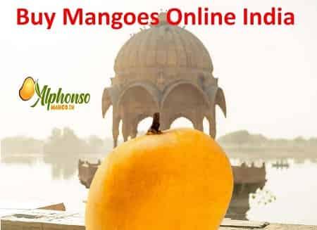 Buy Mangoes Online India - AlphonsoMango.in