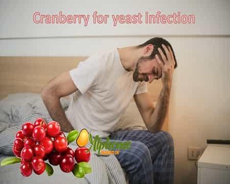 Cranberry for yeast infection - AlphonsoMango.in