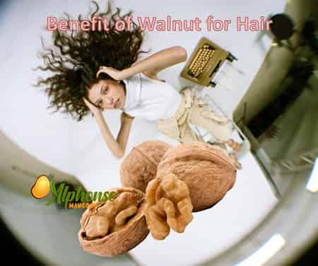 Dry Fruits for Hair Growth - AlphonsoMango.in
