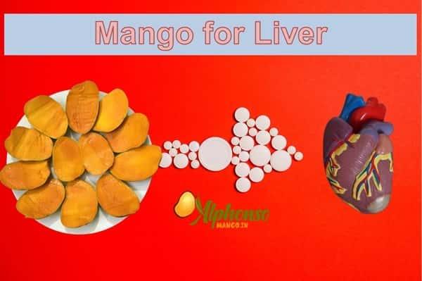 Mango For Liver