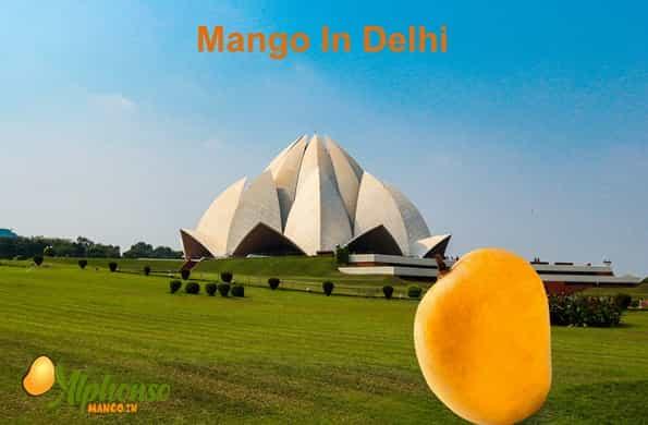 Mango in Delhi Online