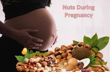 Nuts during pregnancy - AlphonsoMango.in