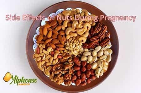 Side Effects of Nuts during Pregnancy - AlphonsoMango.in