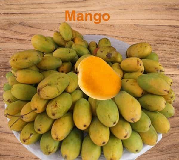 Mango Mangoes Mangos