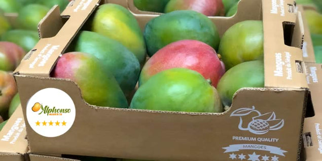 Premium Alphonso Mangoes & kesar Mangoes for Export from India