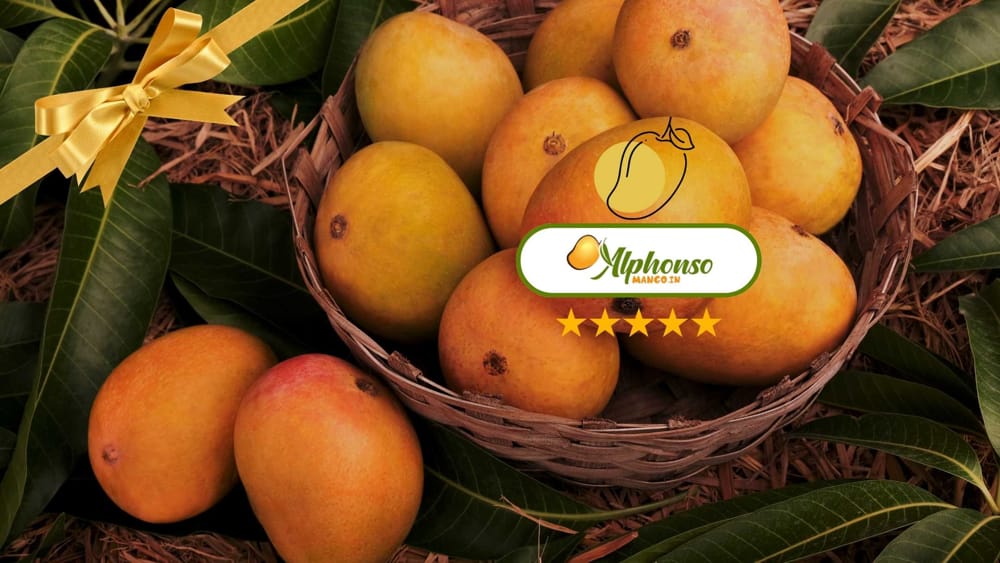 ratnagiri mangoes gifting