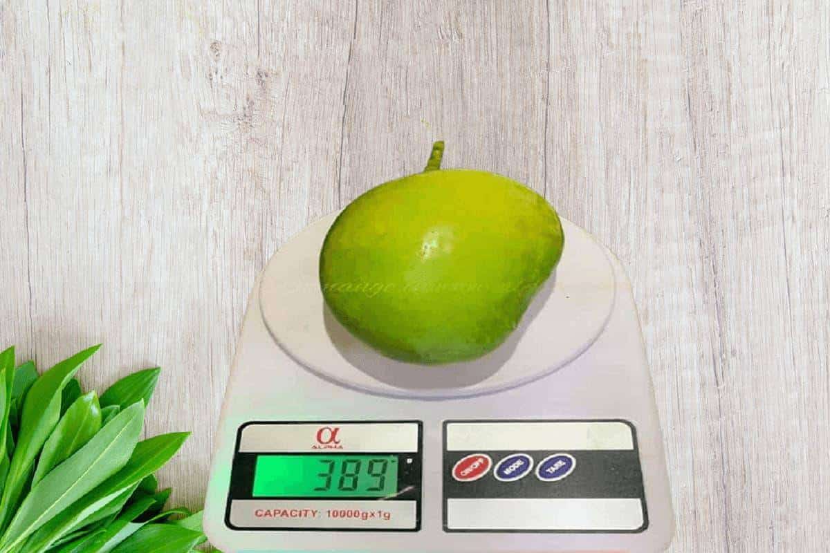 Original Devgad Alphonso Mango (Export Quality Devgad Hapus) Order Now - AlphonsoMango.in