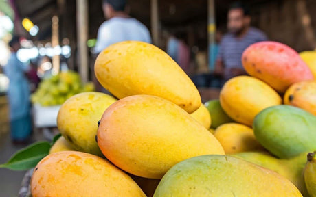 Alphonso Mango Price