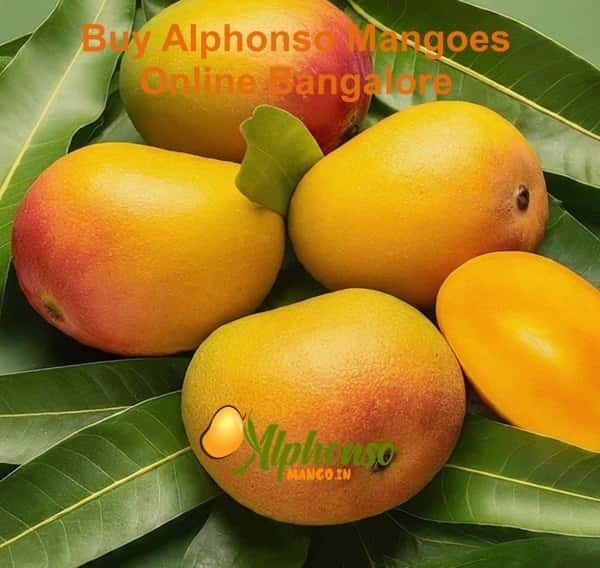 Buy Alphonso Mangoes Online Bangalore