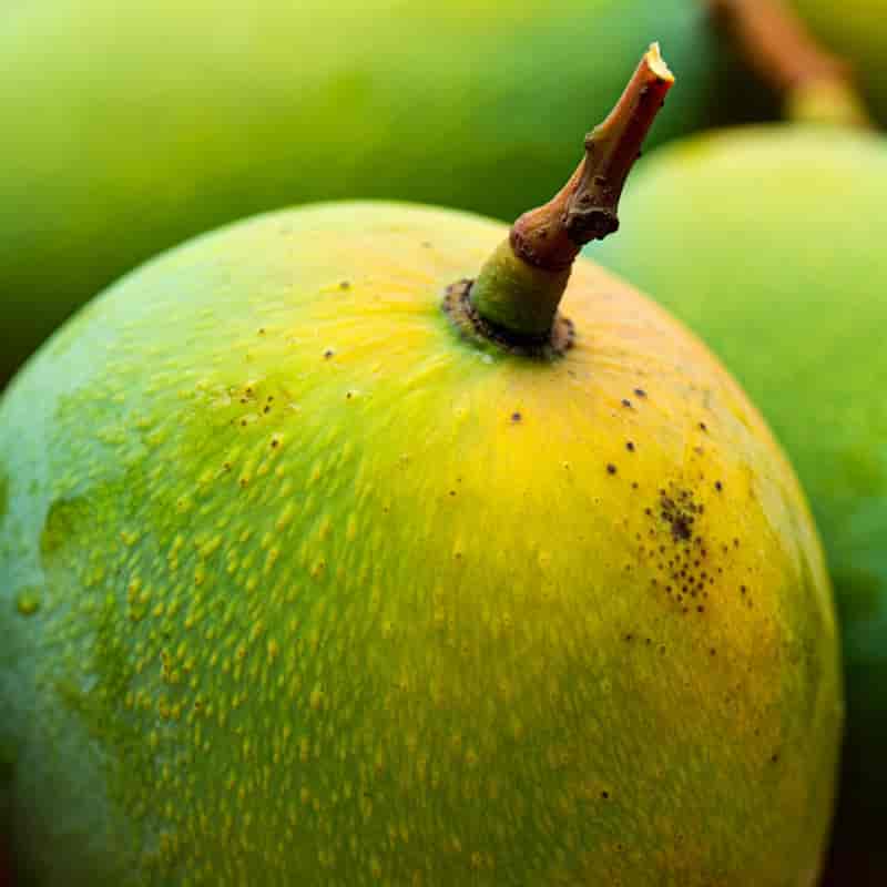 Ratnagiri Hapus Mango Online