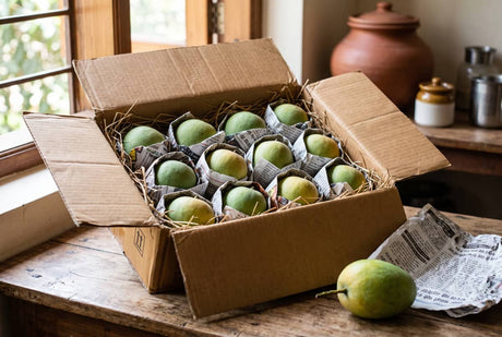 Semi-ripe Ratnagiri Alphonso mangoes wrapped in newspaper inside a cardboard box, ripening at room temperature at home