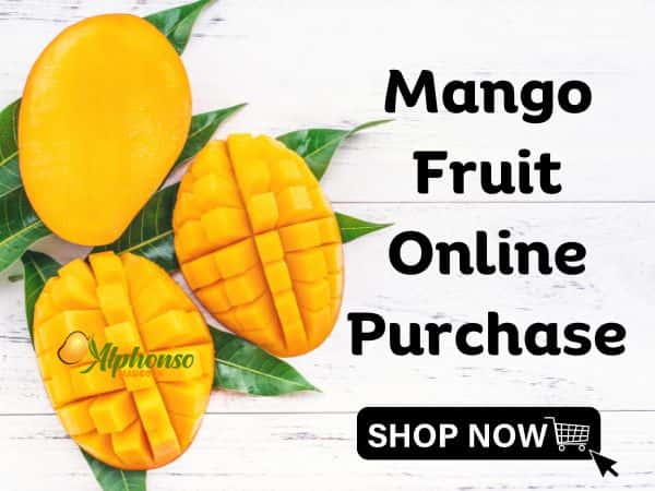 Mango Fruit Online Purchase