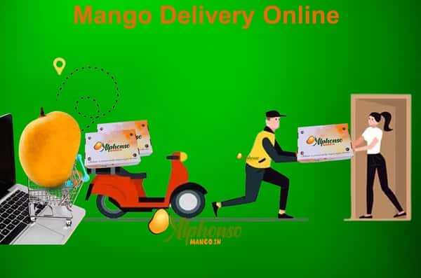 Mango Delivery Online