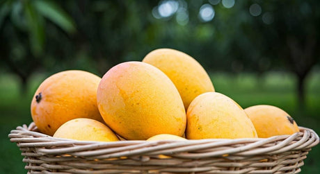 Mangoes in Pune