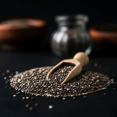 Amazing Chia Seeds Health Benefits