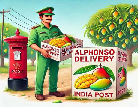 Mango Delivery By Post Office