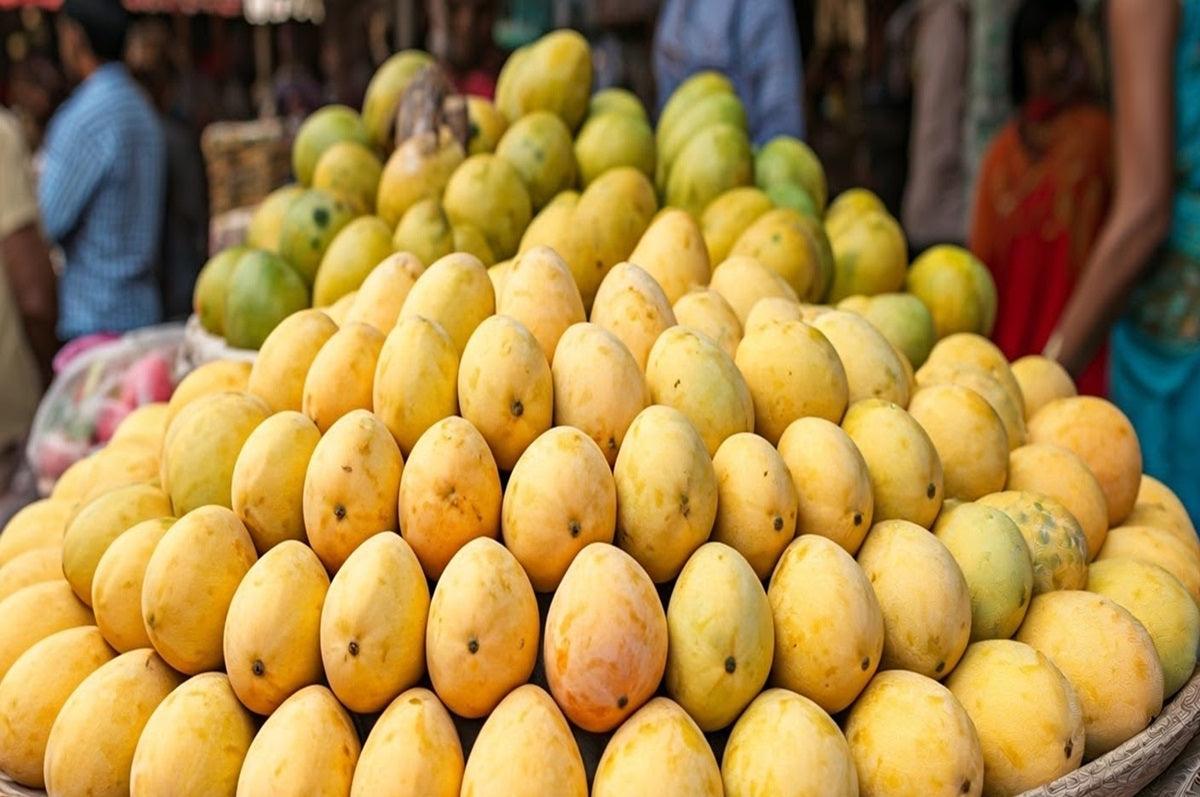 Aam Mango The Exquisite Taste of Freshness – AlphonsoMango.in