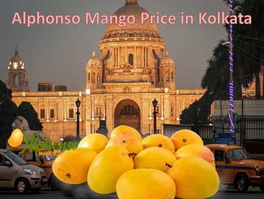 Affordable Alphonso Mango Prices in Kolkata - AlphonsoMango.in
