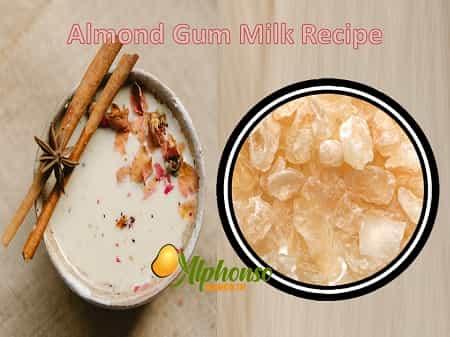 Almond Gum Milk Recipe - AlphonsoMango.in
