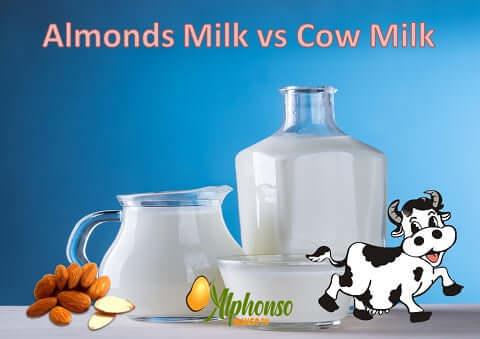 Almond milk vs cow milk - AlphonsoMango.in
