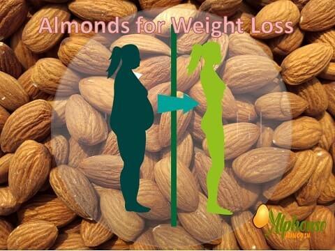 Almonds for Weight Loss - AlphonsoMango.in