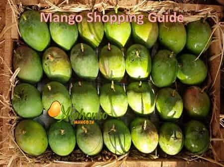 Alphonso: A Shopping Guide - AlphonsoMango.in