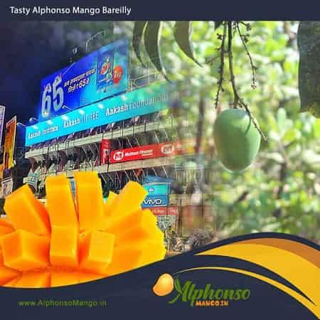 Alphonso Mango Bareilly uttar pradesh - AlphonsoMango.in