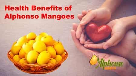 Alphonso Mango Benefits - AlphonsoMango.in
