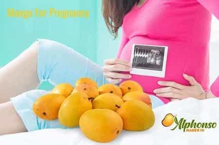 Alphonso Mango benefits for Pregnancy - AlphonsoMango.in