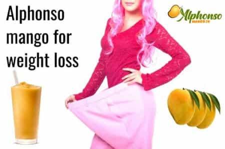 Alphonso Mango for weight loss - AlphonsoMango.in