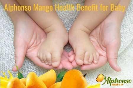 Alphonso Mango Health benefits for baby - AlphonsoMango.in