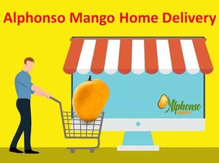 Alphonso Mango Home Delivery - AlphonsoMango.in