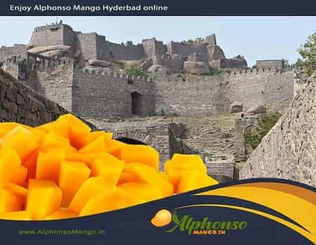 Alphonso Mango Hyderabad: Shop Online for Treat - AlphonsoMango.in