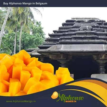 Alphonso Mango in Belgaum - AlphonsoMango.in