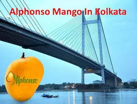 Alphonso mango in kolkata - AlphonsoMango.in