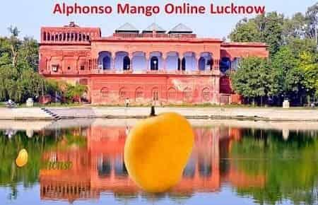 Alphonso Mango in Lucknow - AlphonsoMango.in
