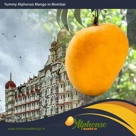 Alphonso Mango in Mumbai - AlphonsoMango.in