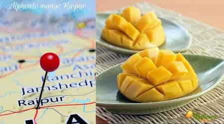 Alphonso Mango In Raipur - AlphonsoMango.in