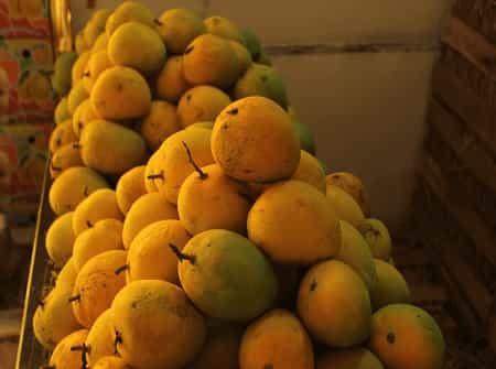 Alphonso Mango nutritional value [Part 2] - AlphonsoMango.in