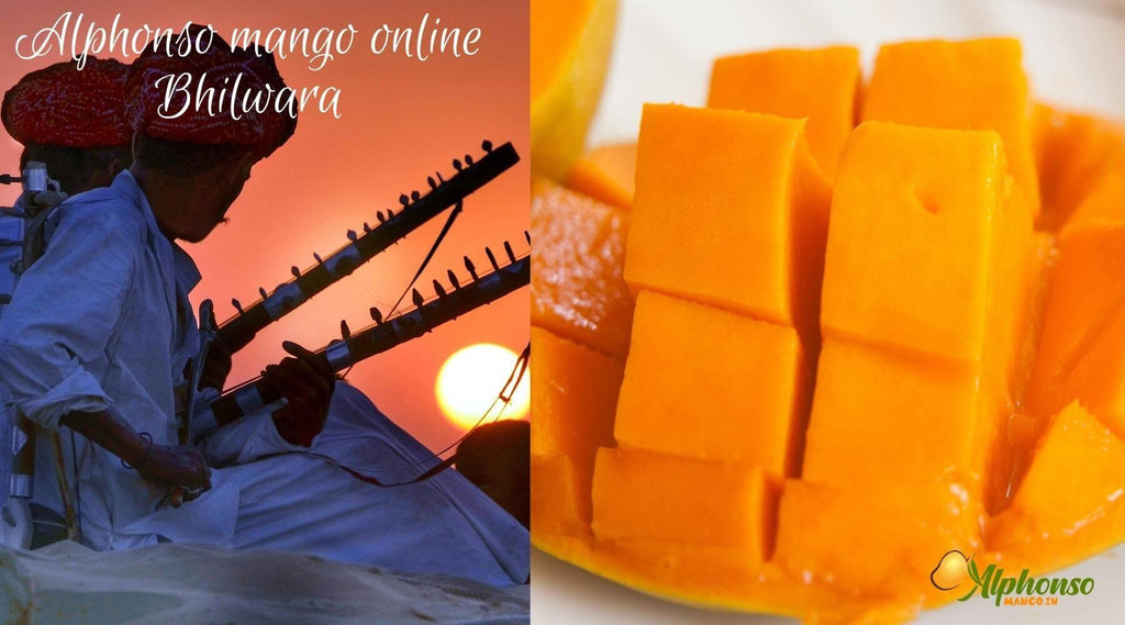 Alphonso Mango Online Bhilwara - AlphonsoMango.in