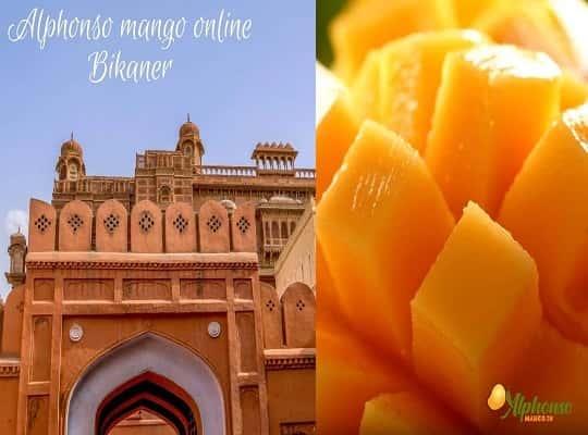 Alphonso Mango Online Bikaner - AlphonsoMango.in