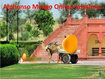 Alphonso Mango Online Jaisalmer - AlphonsoMango.in