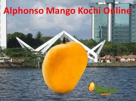 Alphonso Mango Online Kochi - AlphonsoMango.in