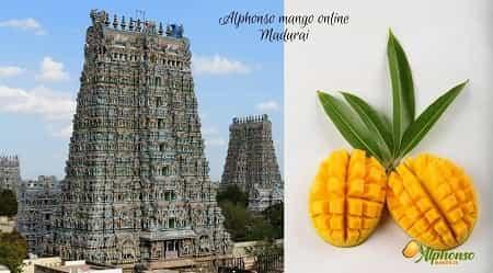 Alphonso Mango Online Madurai - AlphonsoMango.in