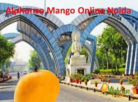 Alphonso Mango Online Noida - AlphonsoMango.in