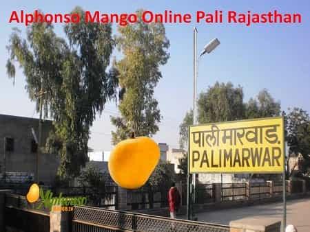 Alphonso Mango Online Pali - AlphonsoMango.in
