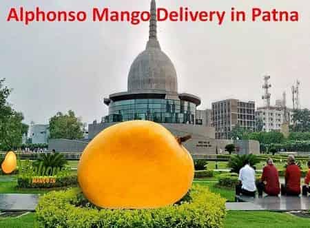 Alphonso Mango Online Patna - AlphonsoMango.in