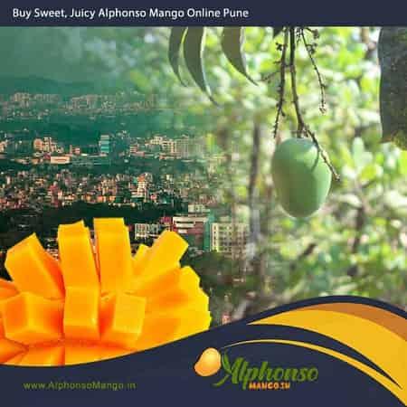 Alphonso Mango online Pune | buy alphonso mango online pune - AlphonsoMango.in